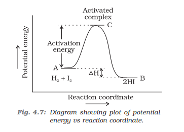 Potential energy vs Reaction coordinate (NCERT diagram)